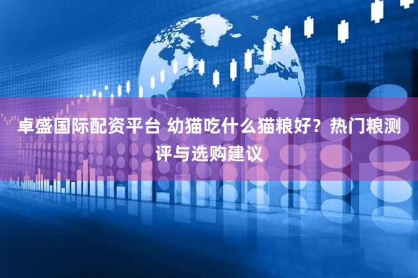 卓盛国际配资平台 幼猫吃什么猫粮好？热门粮测评与选购建议
