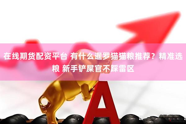 在线期货配资平台 有什么暹罗猫猫粮推荐？精准选粮 新手铲屎官不踩雷区
