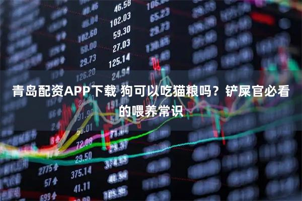 青岛配资APP下载 狗可以吃猫粮吗？铲屎官必看的喂养常识